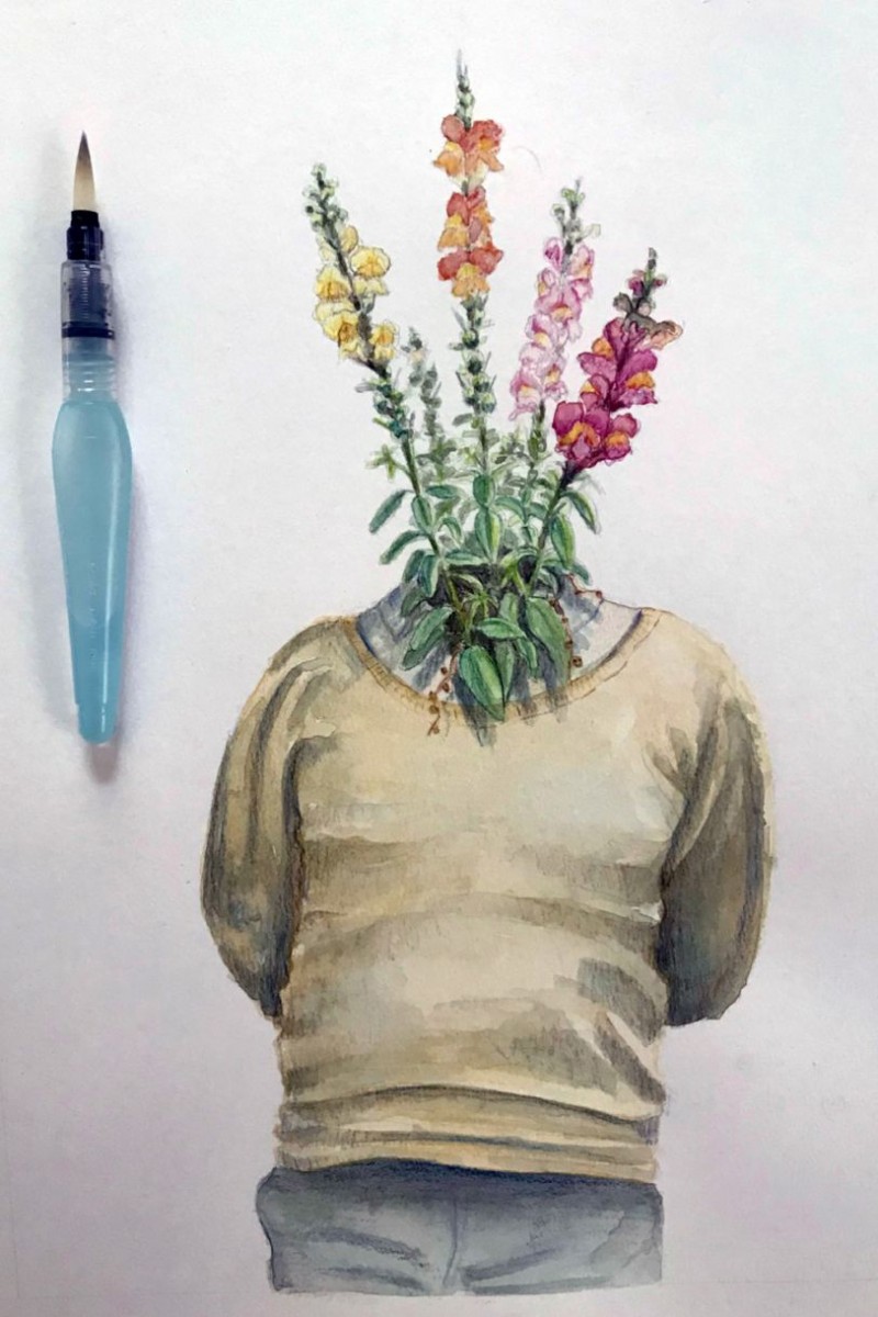 ‘‘Hibrido1’’