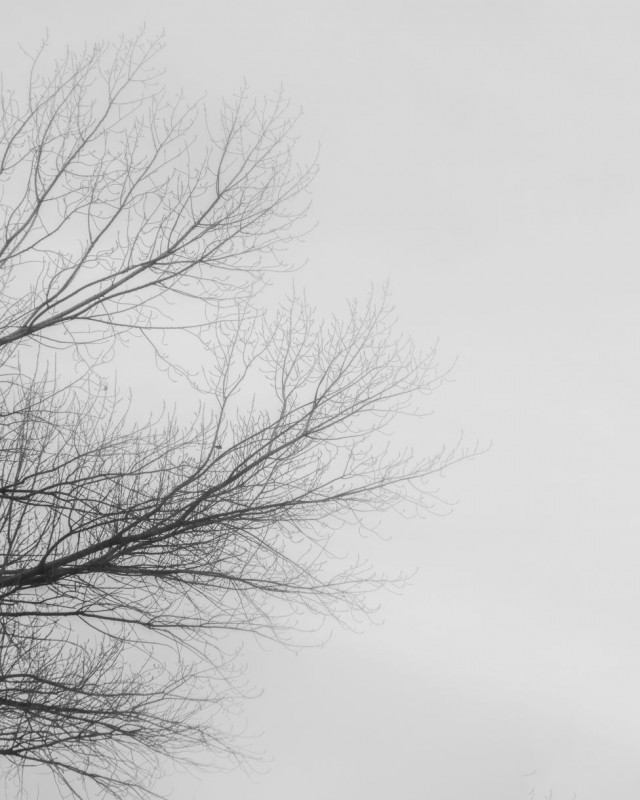 Emptiness never scared me too much