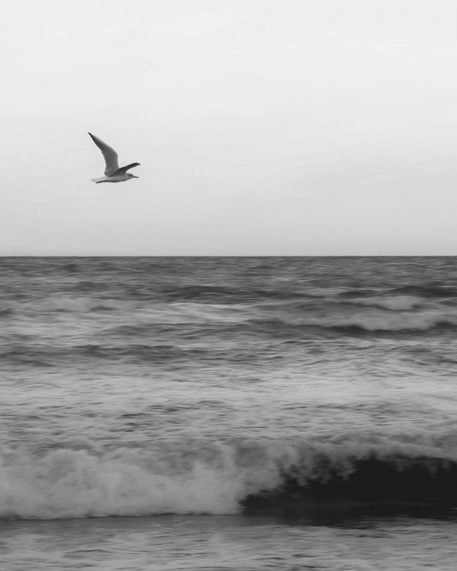 Emptiness never scared me too much