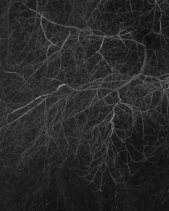 El vacío nunca me asustó demasiado