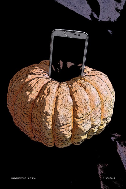 Naixement de la fúria