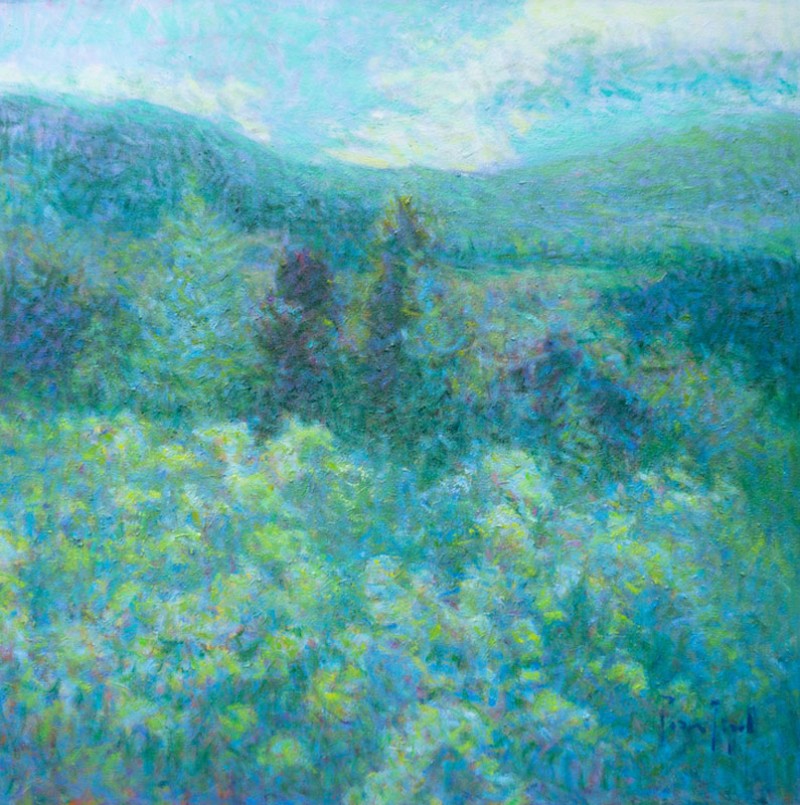 ROSA RIPOLL - Campo