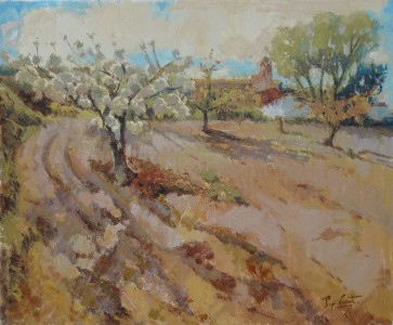 Una vesprada de primavera a Almudaina