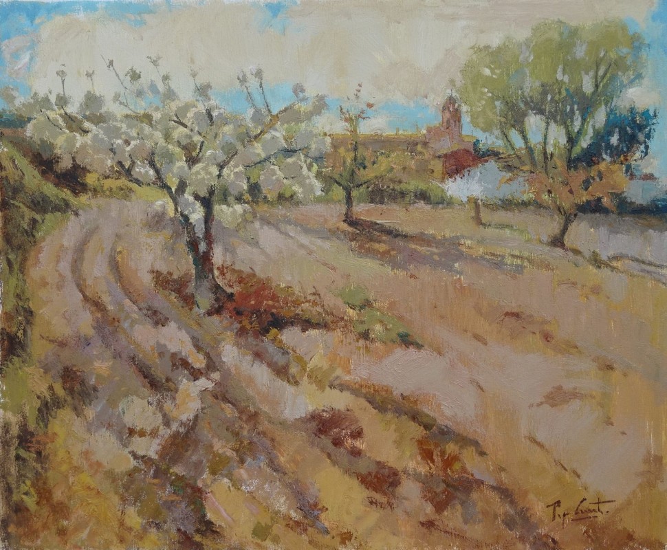 Una vesprada de primavera a Almudaina