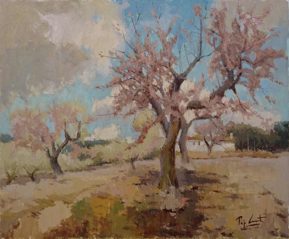 Floració a la vall de Seta. Les valls d Alcoi