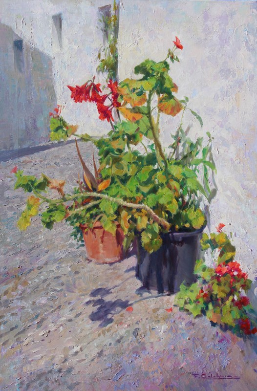 Las macetas Peñíscola