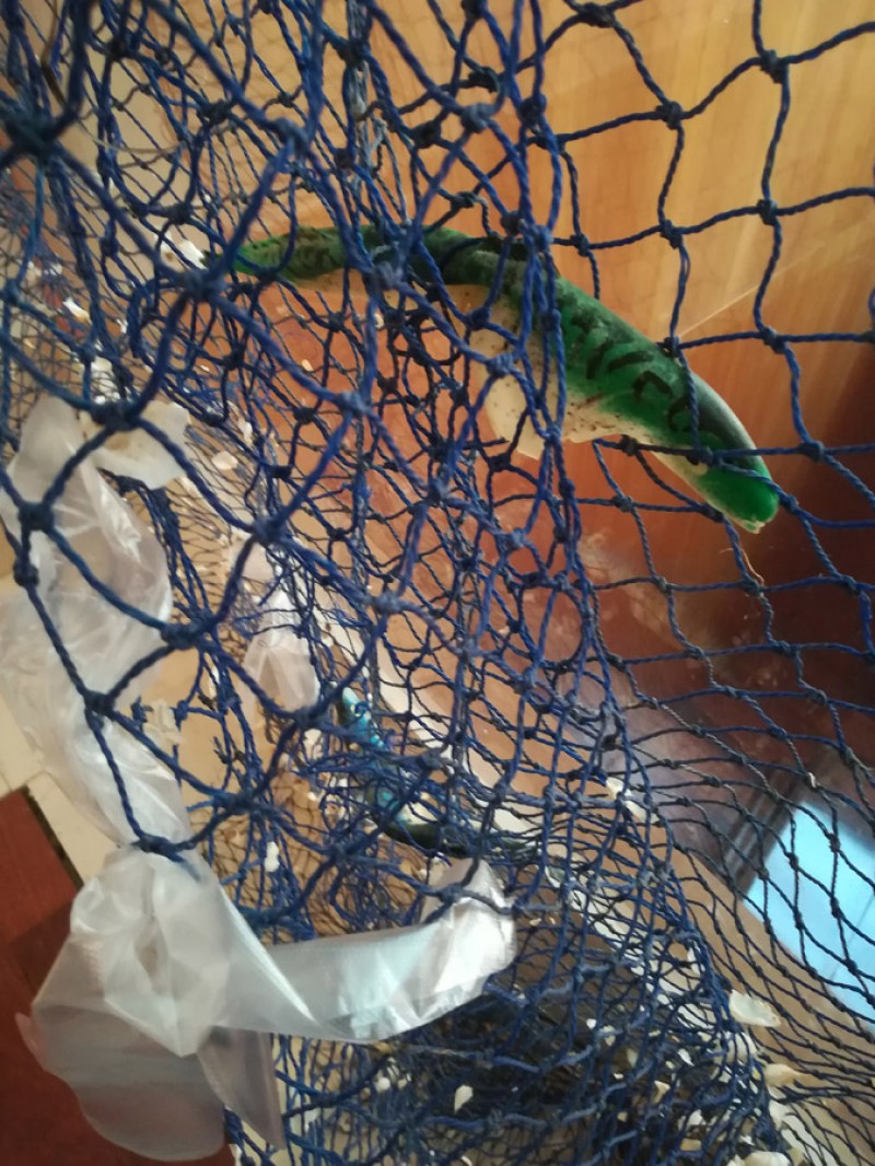 LA MAR DE PLÀSTIC I