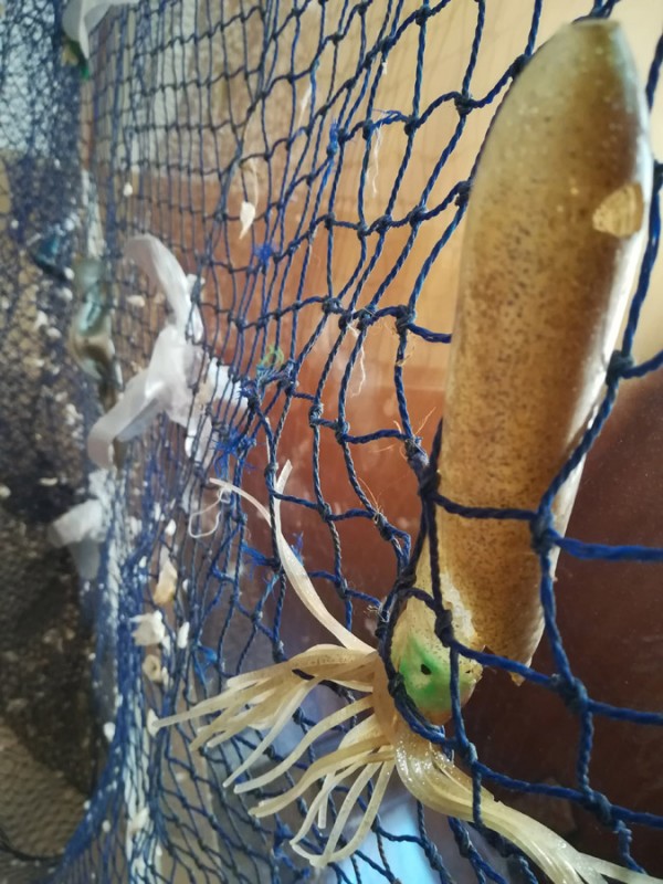 LA MAR DE PLÀSTIC II